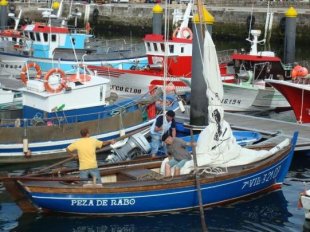 Catro dos barcos que xa chegaron a Muros para a edición deste ano