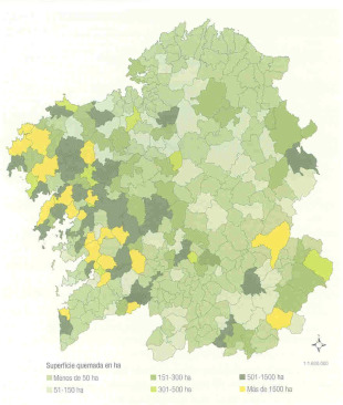 O mapa amosa a superficie total queimada por concellos